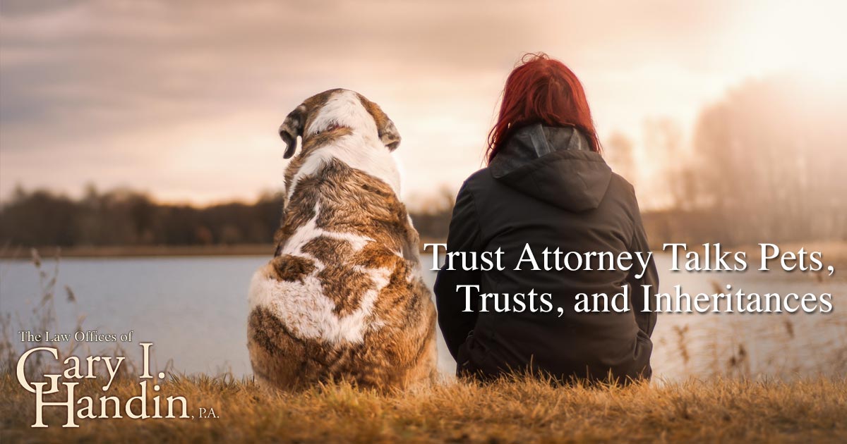 Trust Attorney